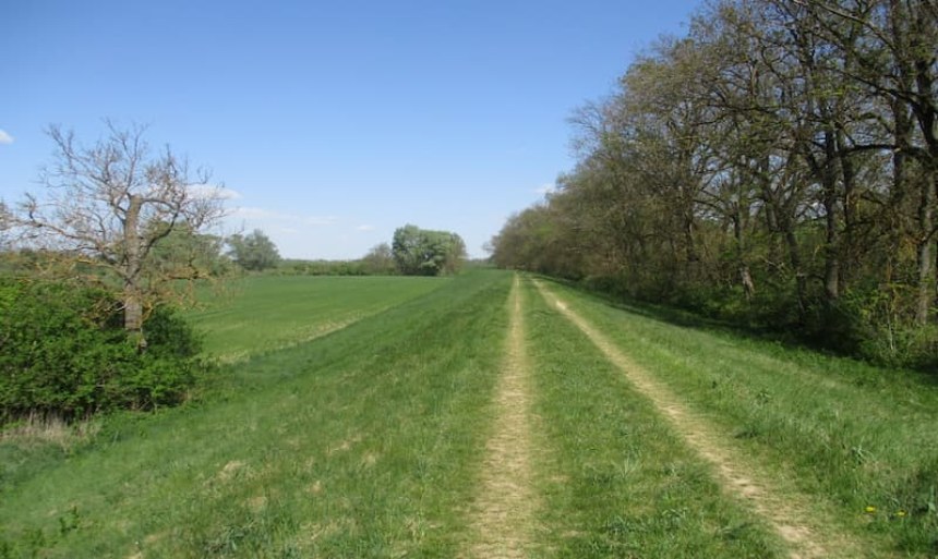 Príprava adaptačných opatrení v pilotnom povodí Ondavy a Trnávky